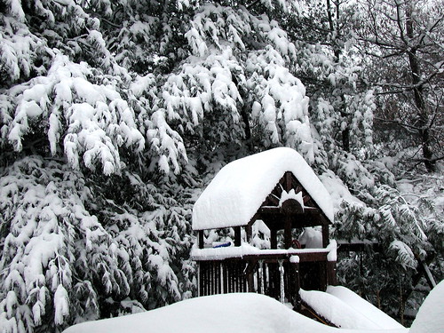 playhouse snow