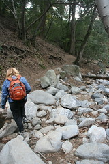Upper Arroyo Seco Trail