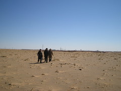 Rambling in desert