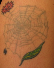 spiderweb_tattoo_IMG_0132