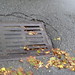 sewer grate!