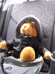 Groombear safe in the back seat