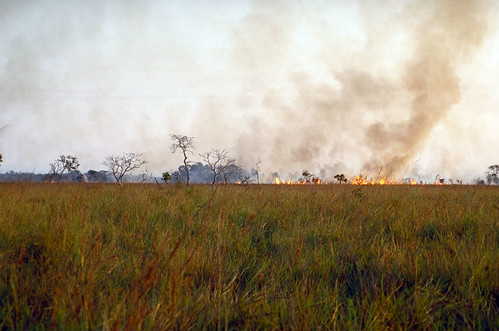 forest fire by Jon Hornbuckle