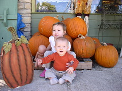 the two punkins again