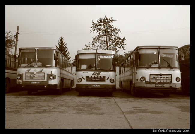 Romanian buses