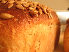 Polenta Millet Sunflower Bread