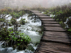 Path in Plitvice