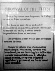 Cuba St poster - 'Survival of the Fittest'