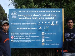 Tempat Penguin Parade, Philip Island, Australia