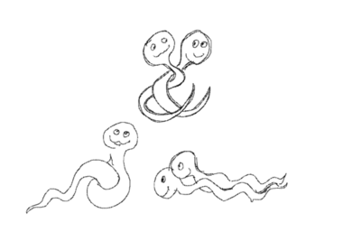 worms in suggestive positions