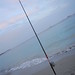 Ibiza - beach evening fishing ibiza