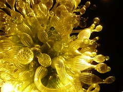 2008-09-13_Chihuly 100