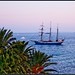 Ibiza - Galleon