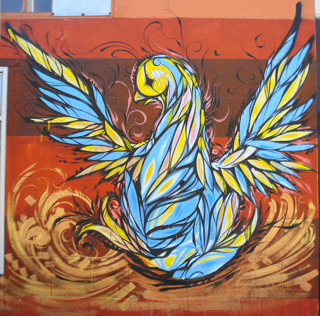 phoenix bird tattoos. Phoenix Bird Pictures