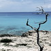 Formentera - holiday island solitude paradise medi