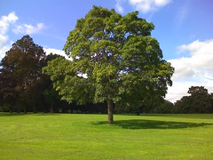 Abington Park in Northampton