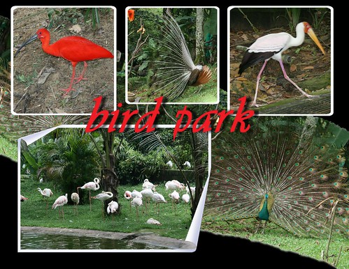 birdpark 1