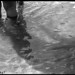 Ibiza - agua peces sombra playa ibiza piernas