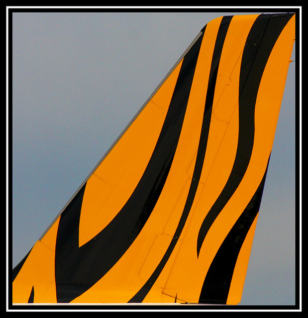 Tigers Tail Caged - Tiger Airways A320 Logo | Flickr - Photo Sharing!