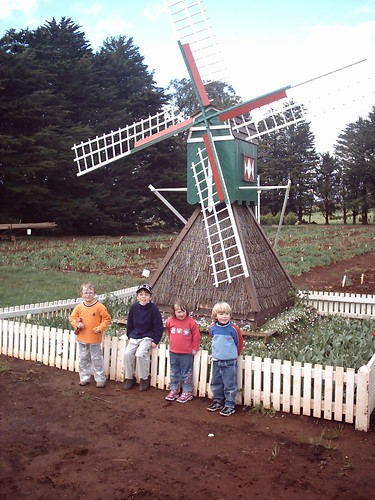 Kids and the windmill