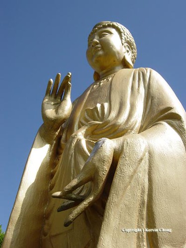 Buddha01