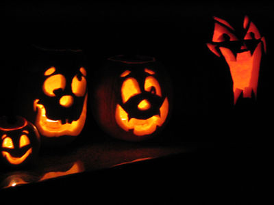 pumpkin family