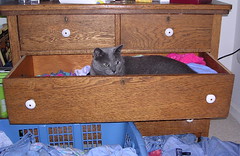 Artemis in a drawer
