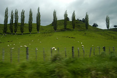 NZ Country Blur