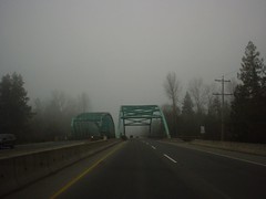 foggy_roadtrip