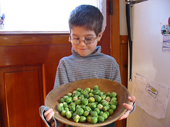 Topher-Sprouts-2