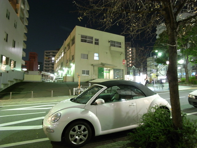 the new beetle car 2011. the new beetle car. new beetle