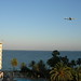 Ibiza - Hotel Algarb, Playa d'en Bossa