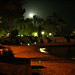 Ibiza - Full moon over the palm trees