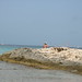 Formentera - Saluti da Ses Illetes