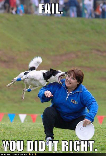 funny pictures of dogs. Funny Dog Pictures - Dog Bites Frisbee Womans Face. Apr 10, 2008 2:06 PM. Uploaded by: Alex Jarvis - Views: 4732. http://www.flickr.com/photos/74623172@N00/