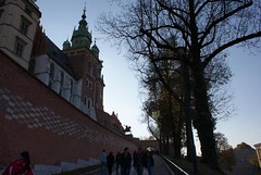 Krakow 317