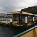 Ferry from Circular Quay to Taronga Zoo