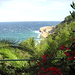 Ibiza - sea breeze