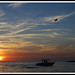 Ibiza - parasailing at sunset