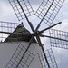 Ibiza - Windmill