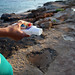 Formentera - picking up plastic