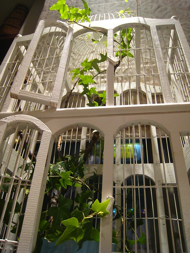 20081020鳥籠與植物