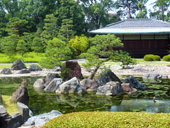 Nijo-jo gardens - Island