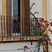 Ibiza - Flower Balcony
