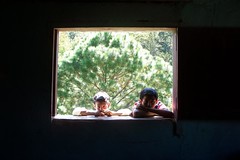 Boys in window