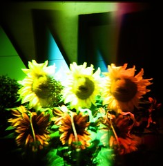 three sunflowers-psychedelic