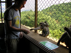 Matt & monkey