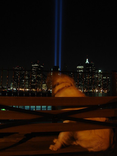 Frisket and the Tribute in Light