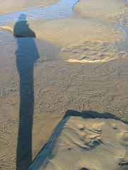 long shadow with a bumpy belly falls onto sand and water