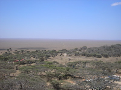 Serengetti fringe